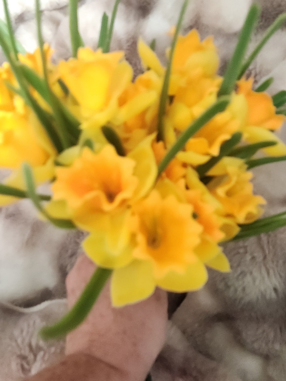 Yellow Artificial Daffodil Bouquet - Home Accents Lot Of 3